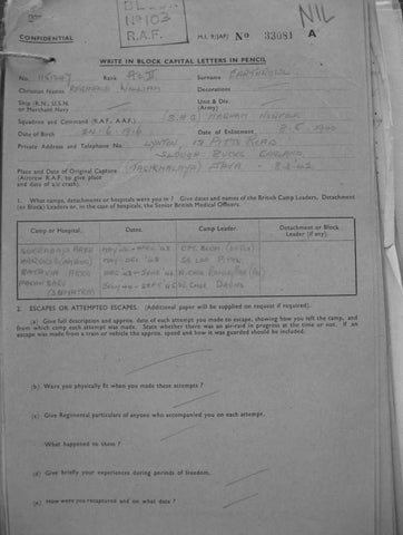 Earthrowl-Reginald-William