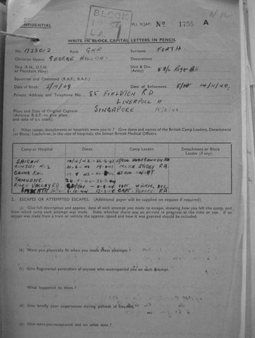 Forth-George-Holiday