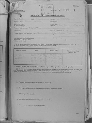 SIMPLES-Maurice-Llewellyn