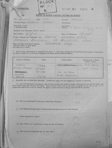 Taylor-Horace-George